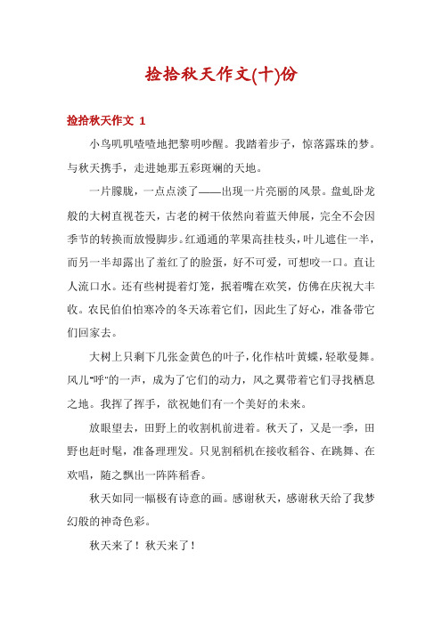 捡拾秋天作文份