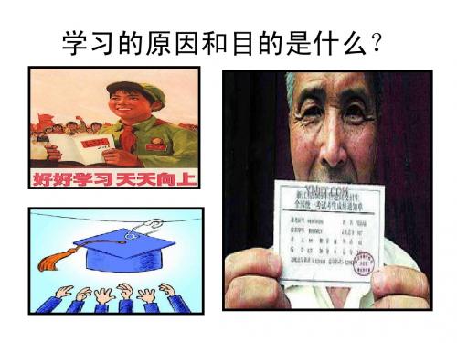 第六章学习动机