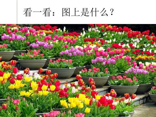 幼儿早教：认识颜色和形状