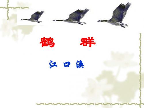 鹤群PPT18 语文版 (共32张PPT)