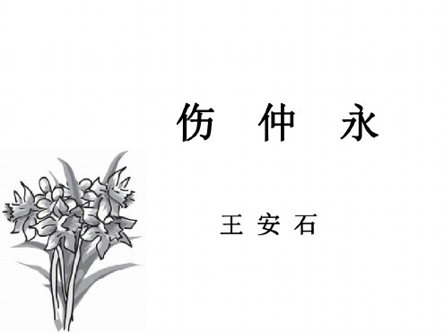 七年级语文伤仲永课件2