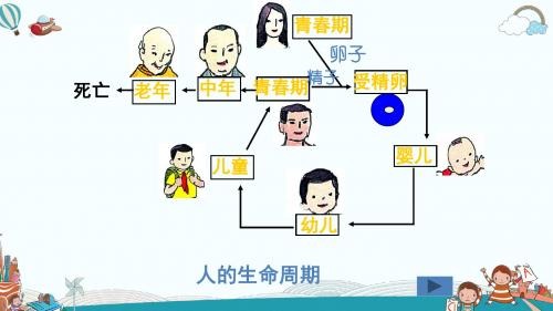 七年级科学第1章代代相传的生命  复习