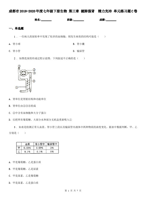成都市2019-2020年度七年级下册生物 第三章 健肺强肾 精力充沛 单元练习题C卷