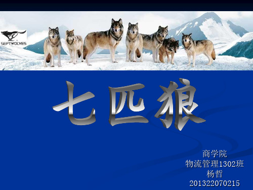 七匹狼深度分析