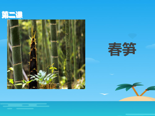 《春笋》PPT[优秀课件资料]