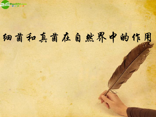 八年级生物上册 细菌和真菌在自然界中的作用 人教新课标版ppt课件