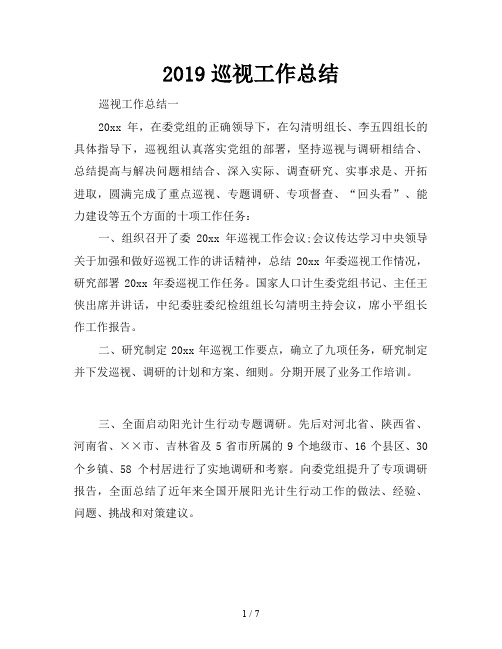 2019巡视工作总结