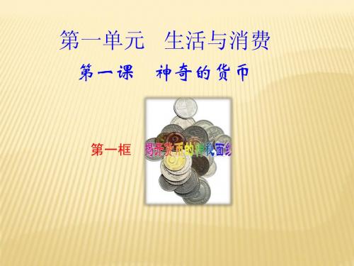 1.1揭开货币的神秘面纱 课件(梁山一中)