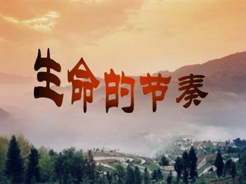 七年级政治生命的节奏课件