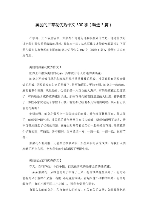 美丽的油菜花优秀作文300字(精选3篇)