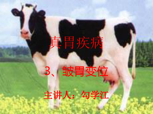 反刍动物真胃疾病3