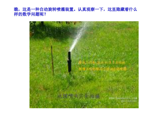 六年级上册数学课件-5.3 圆的面积 ︳青岛版    (共79张PPT)