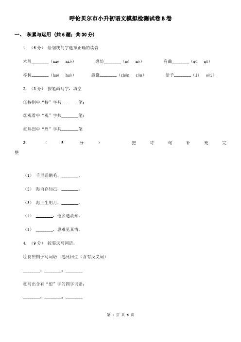 呼伦贝尔市小升初语文模拟检测试卷B卷