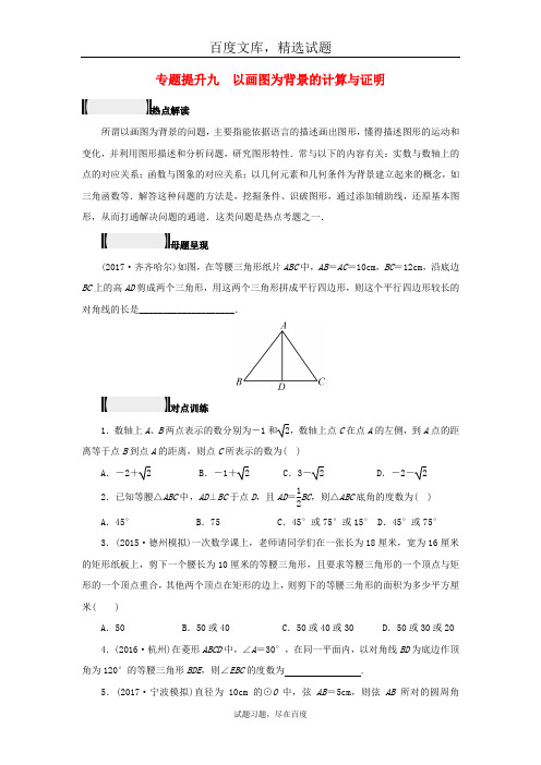 浙江省2019年中考数学总复习专题提升试题九 以画图为背景的计算与证明
