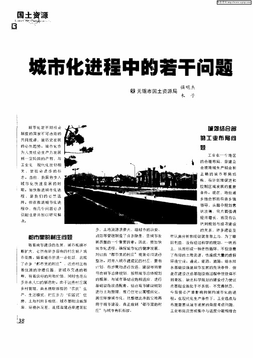 城市化进程中的若干问题