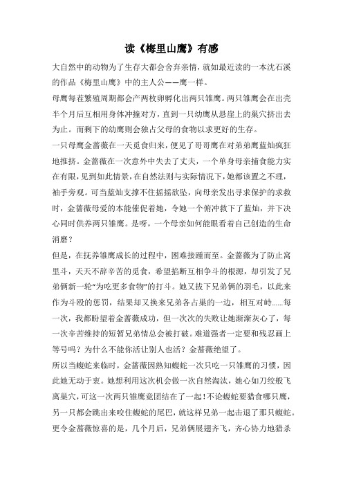 读《梅里山鹰》有感_1(1000字).docx