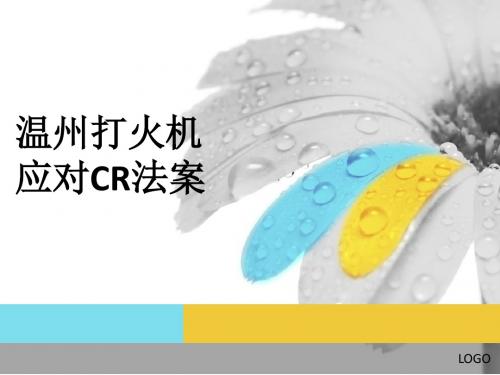 温州打火机反倾销案