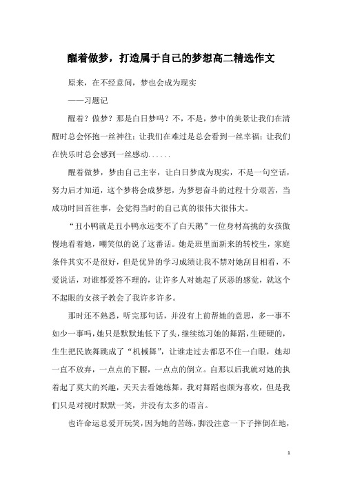 醒着做梦,打造属于自己的梦想高二精选作文
