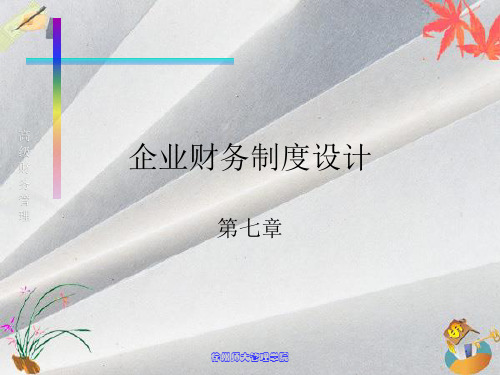 高级财务管理课件-第七章