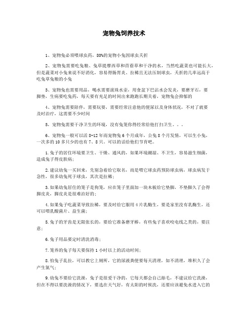 宠物兔饲养技术