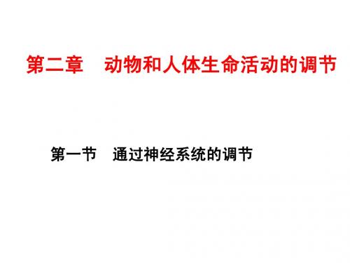 《通过神经系统的调节》1