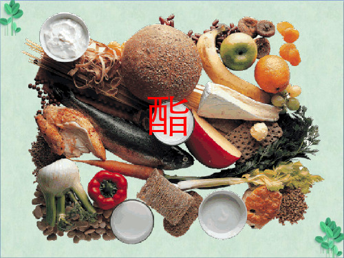 酯(课件PPT)