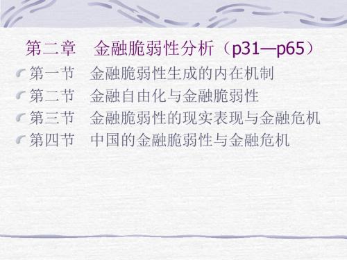 金融脆弱性分析(ppt 12)