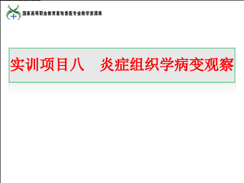 08实训8炎症组织学病变观察(解红梅).