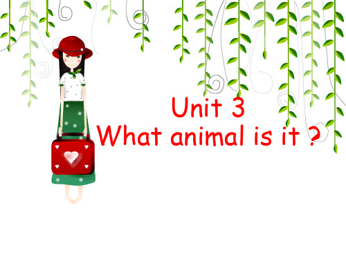 《What animal is it》
