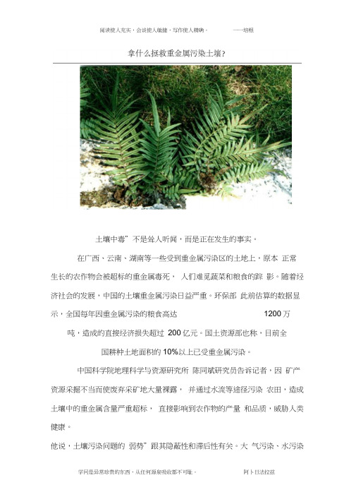 植物修复案例