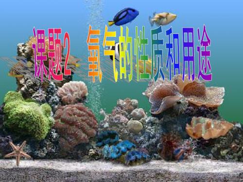 课题2__氧气的性质hao