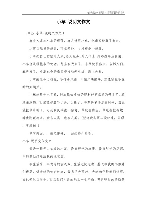 小草 说明文作文