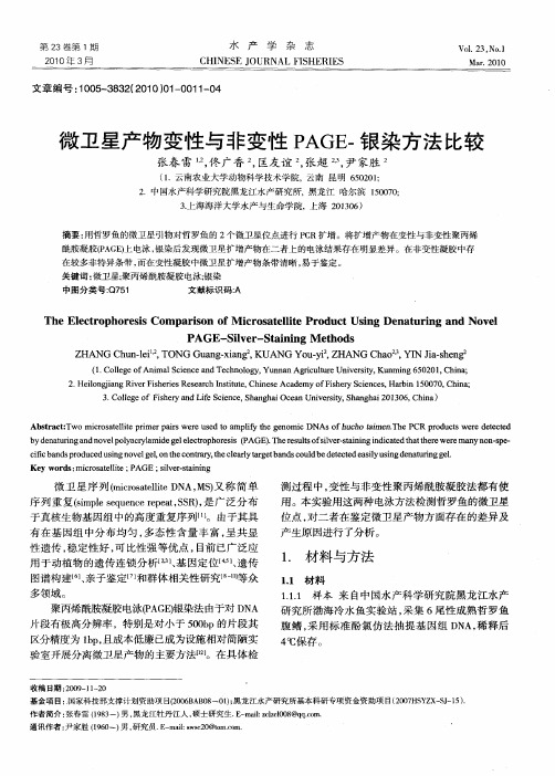 微卫星产物变性与非变性PAGE-银染方法比较
