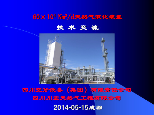60万方LNG项目方案介绍(1)