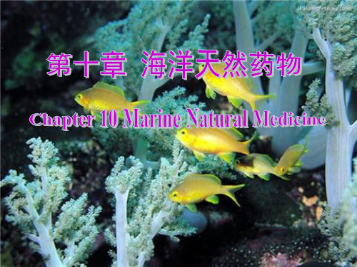 海洋天然药物