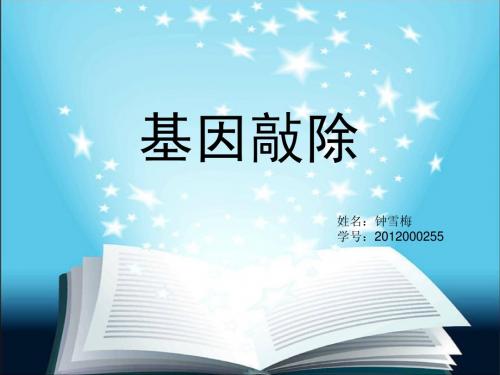 基因敲除专题