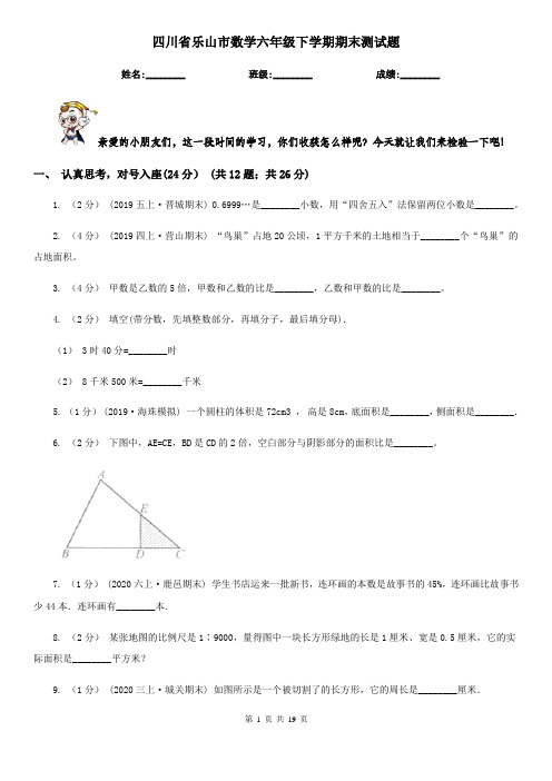 四川省乐山市数学六年级下学期期末测试题