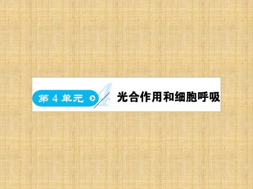 高中生物第4单元光合作用和细胞呼吸第1课时光合作用和细胞呼吸名师课件苏教版必修