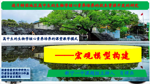 减数分裂—精子的形成及模型构建