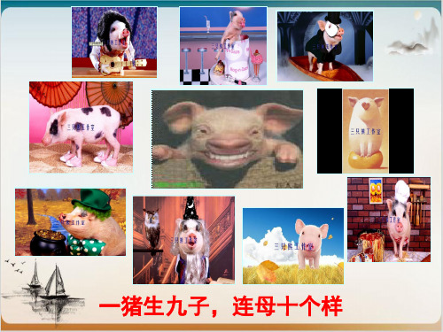 自然地理环境的差异性1公开课-PPT