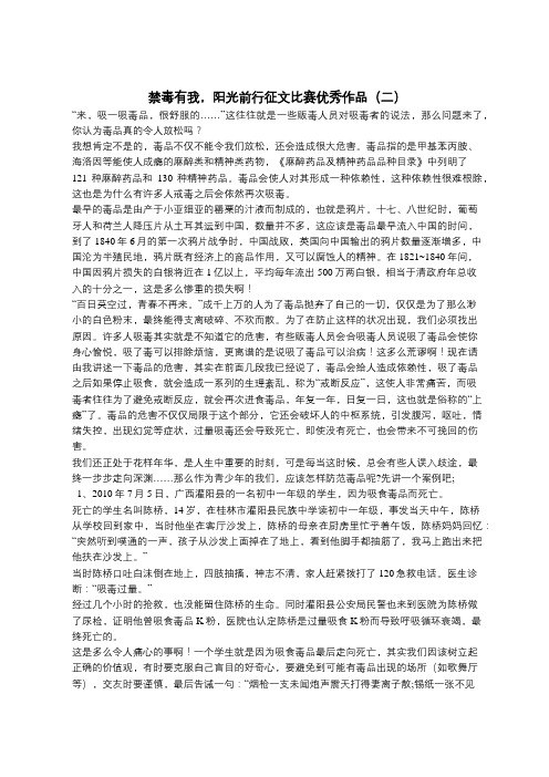 禁毒有我,阳光前行征文比赛优秀作品(二)