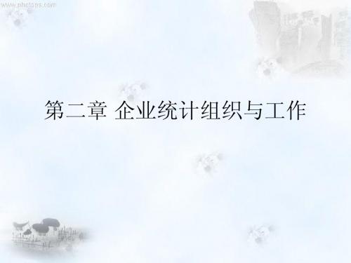 第二章企业统计组织与工作