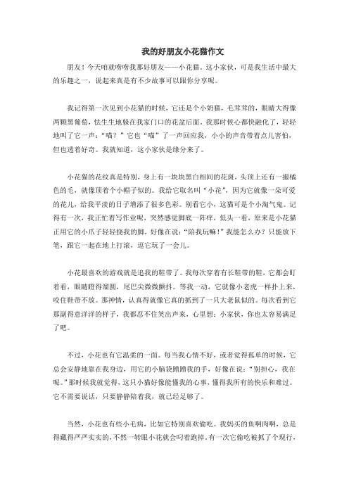 我的好朋友小花猫作文