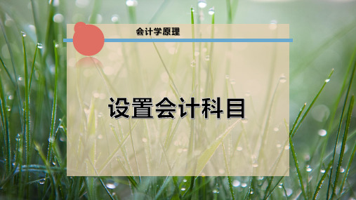 设置会计科目PPT模板
