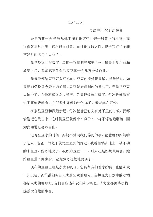 我和豆豆