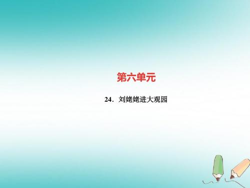 2019九年级语文上册第六单元24刘姥姥进大观园习题讲义-新人教版本.ppt