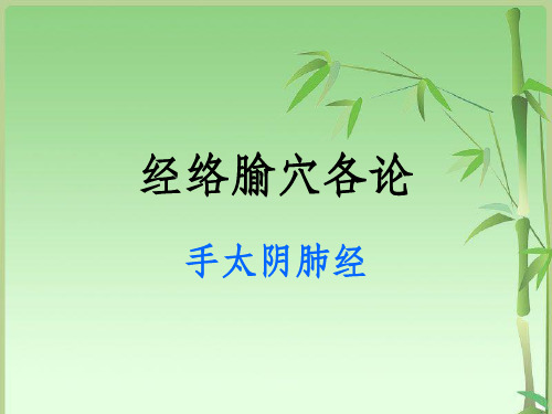 《手太阴肺经》PPT课件