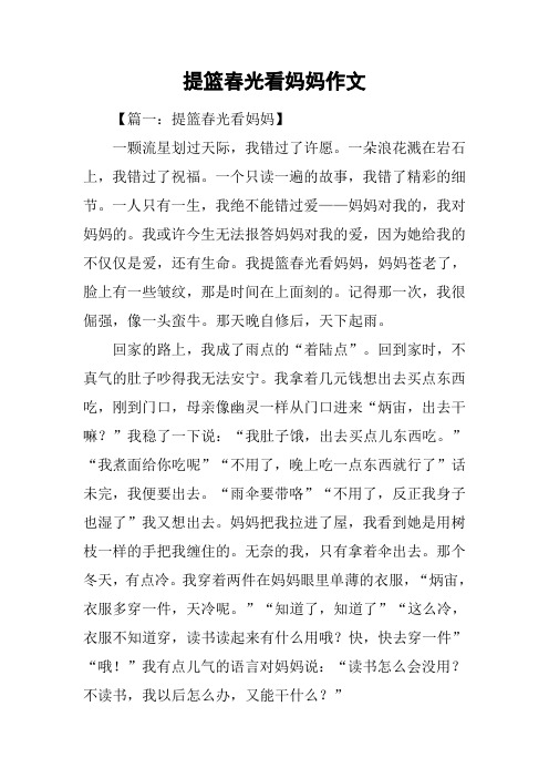 提篮春光看妈妈作文