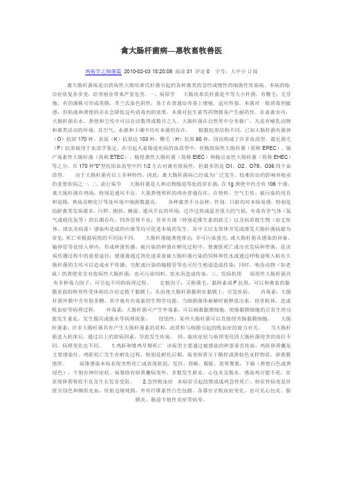 禽大肠杆菌病