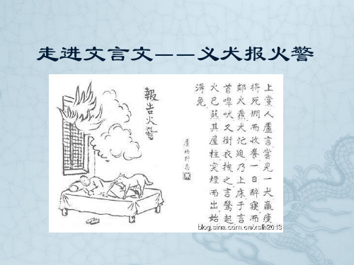 走进文言文1705-义犬报火警